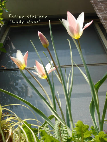 DSC08010.jpg