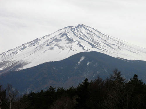 DSC07895a.jpg