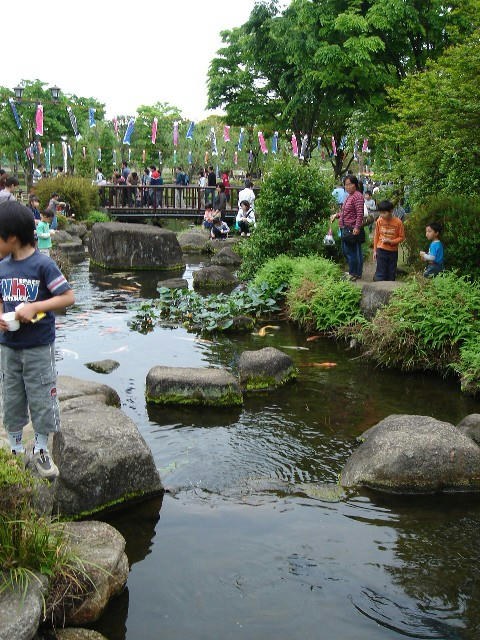 DSC08537.jpg