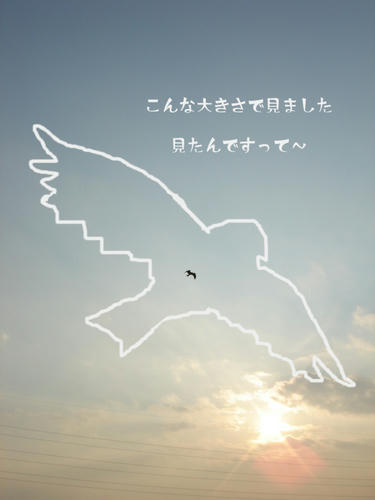 DSC09920.jpg