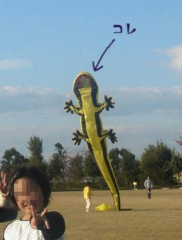 DSC00023a.jpg
