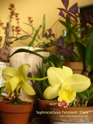 DSC00041.jpg