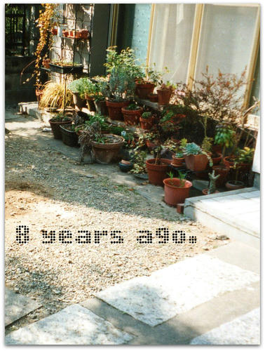 img004.jpg