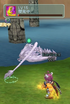 戦闘中（終わりかけ