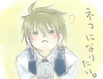 こんな事をのたまう最近できたオリキャラ。