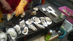 2009051011590000.jpg
