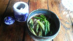 2009051011220000.jpg