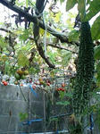 image0009.jpg