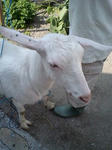 image0010.jpg