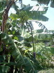 image0013.jpg