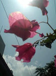 image0017.jpg