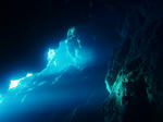 2009061004.jpg