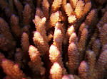 2009061005.jpg