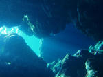 2009061003.jpg