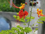 IMG_0748.JPG