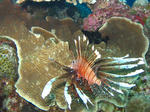 c54cf78c.jpg