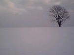 image014.jpg