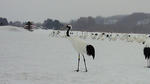 201002280823000.jpg