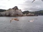 20100520105900.jpg