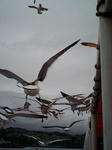 20100520105916.jpg