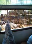 20100904101418.jpg