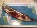 20100914210948.jpg