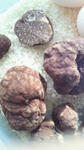 2010111012300000.jpg