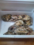 20110220200811.jpg