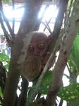 20110416151912.jpg