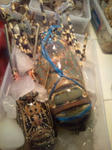 20110416201212.jpg