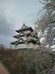 20110504115351.jpg