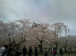 20110504115256.jpg