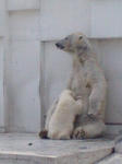 20110611103315.jpg