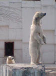 20110611103228.jpg