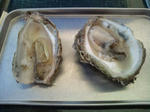 20110807102116.jpg