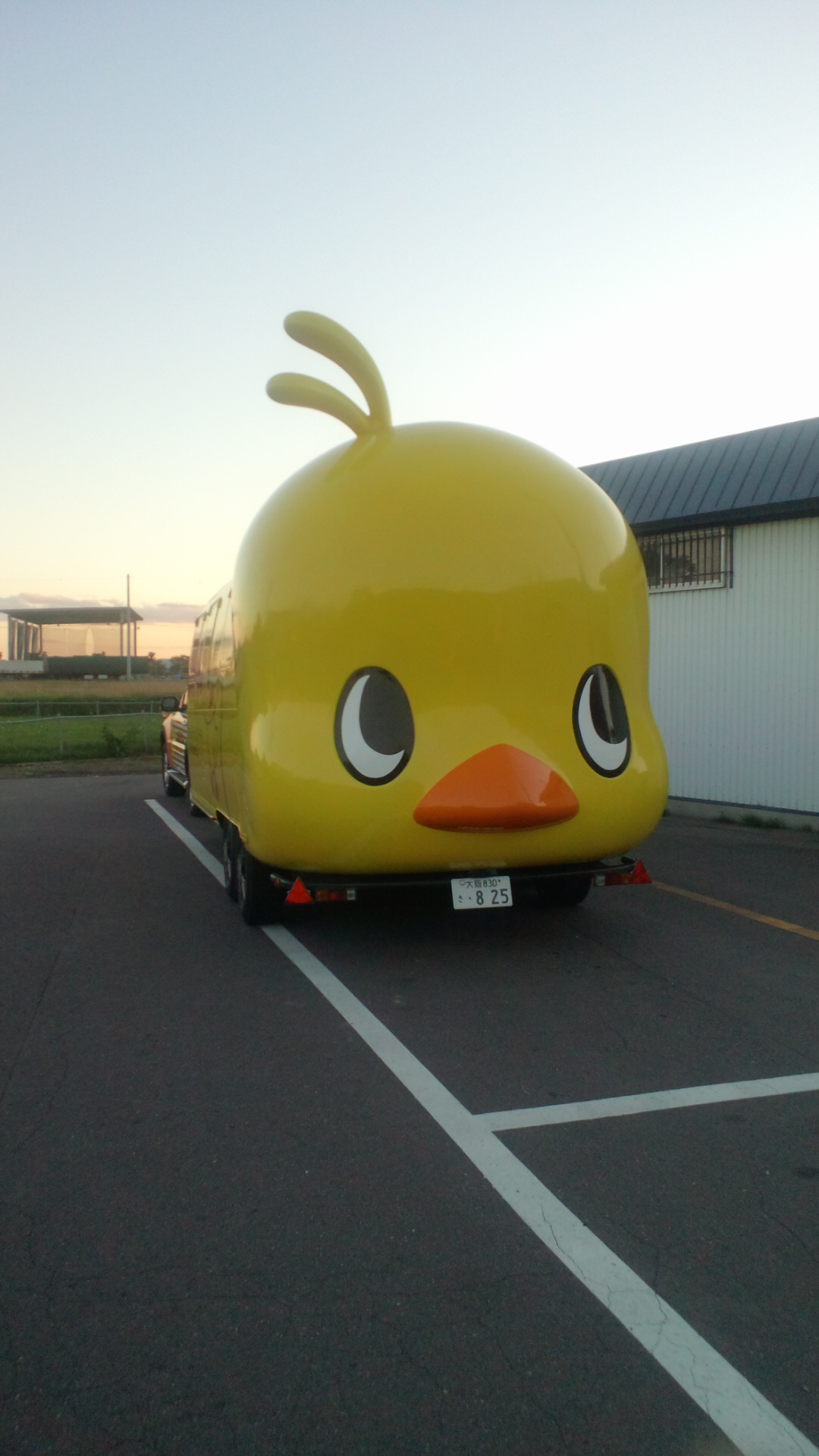 2012100817000000.jpg
