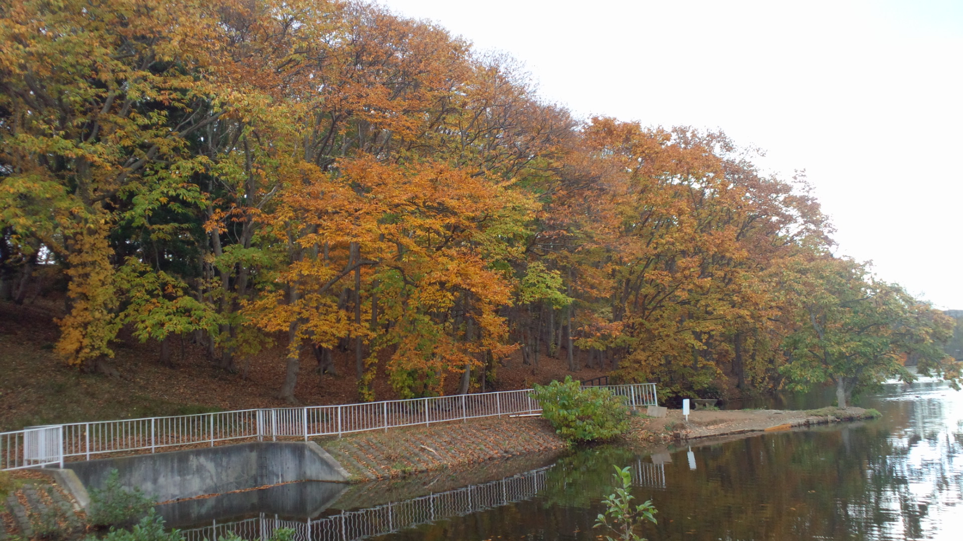 2012110414120000.jpg