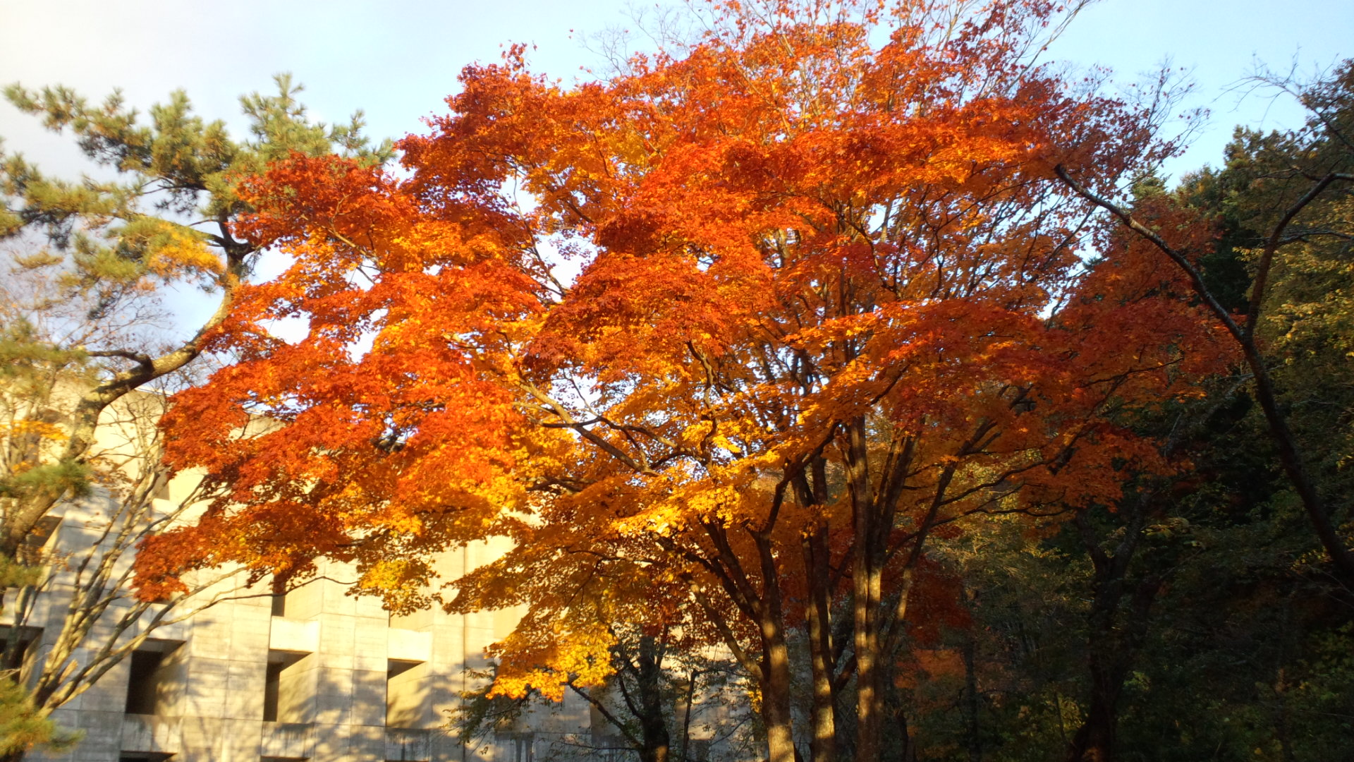 2012110415550000.jpg