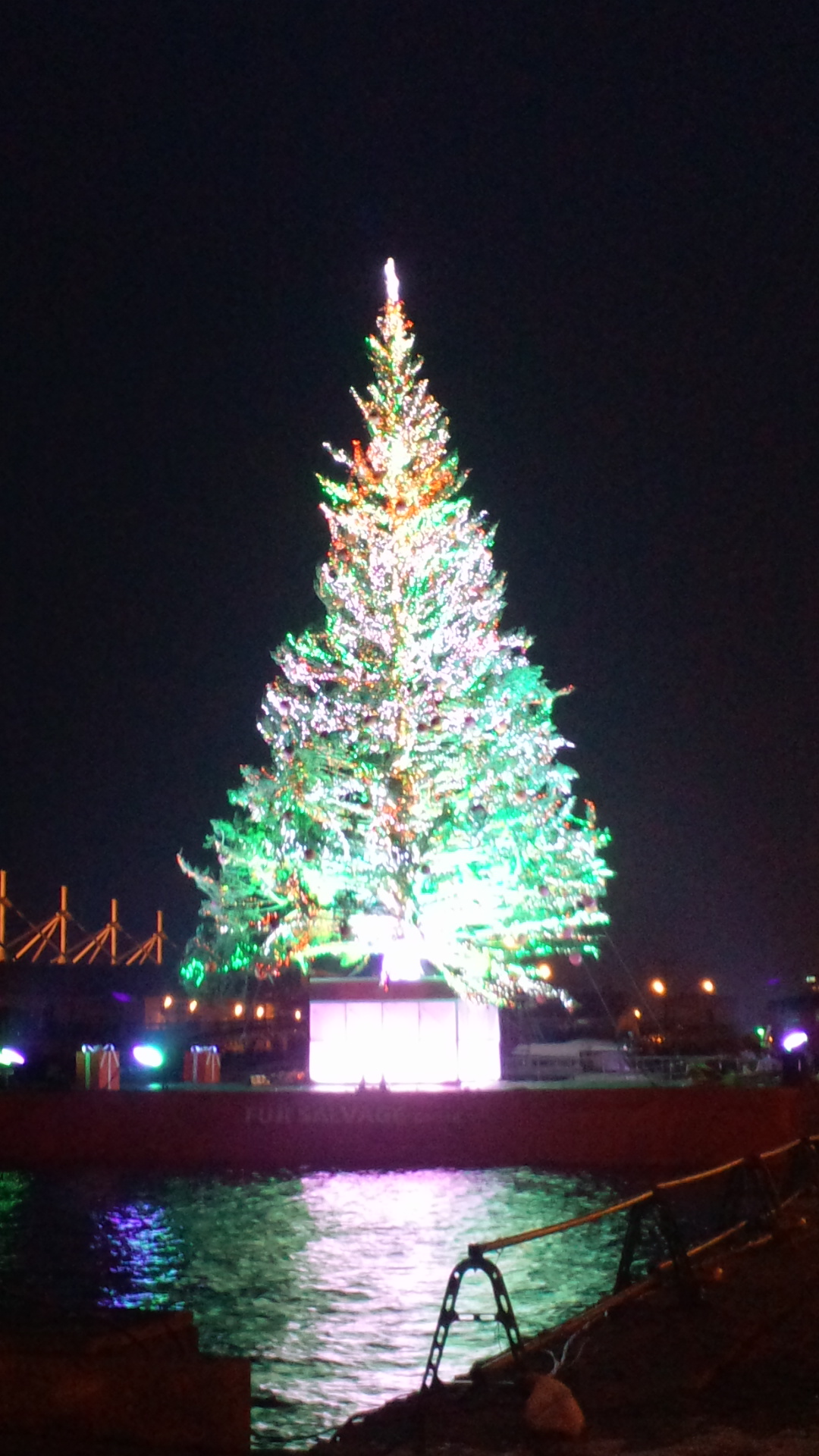 2012121416390000.jpg