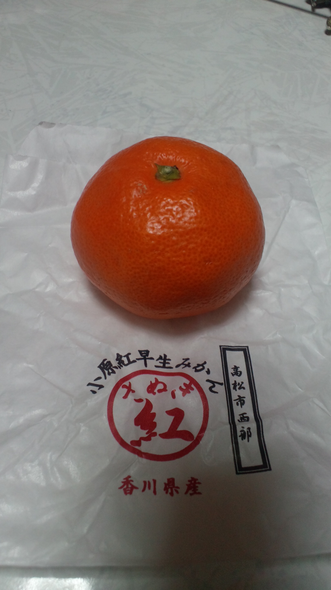 2013030423170000.jpg