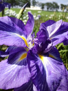 2013073112510000.jpg