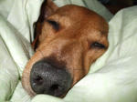 DSCF1040_640.jpg
