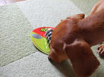 DSCF1236_640.jpg