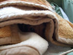 DSCF1542_640.jpg