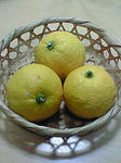 NEC_0199.JPG