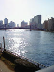 NEC_0248.JPG