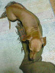 NEC_0269.JPG