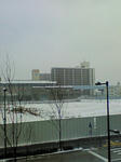 NEC_0310.JPG