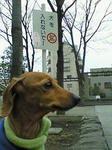 NEC_0312a.JPG