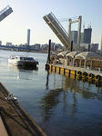 NEC_1195.JPG